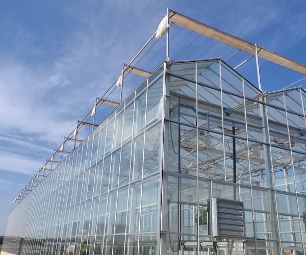 polycarbonate covering greenhouse 