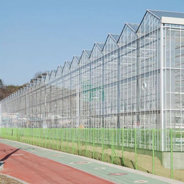 Hydroponic Greenhouse